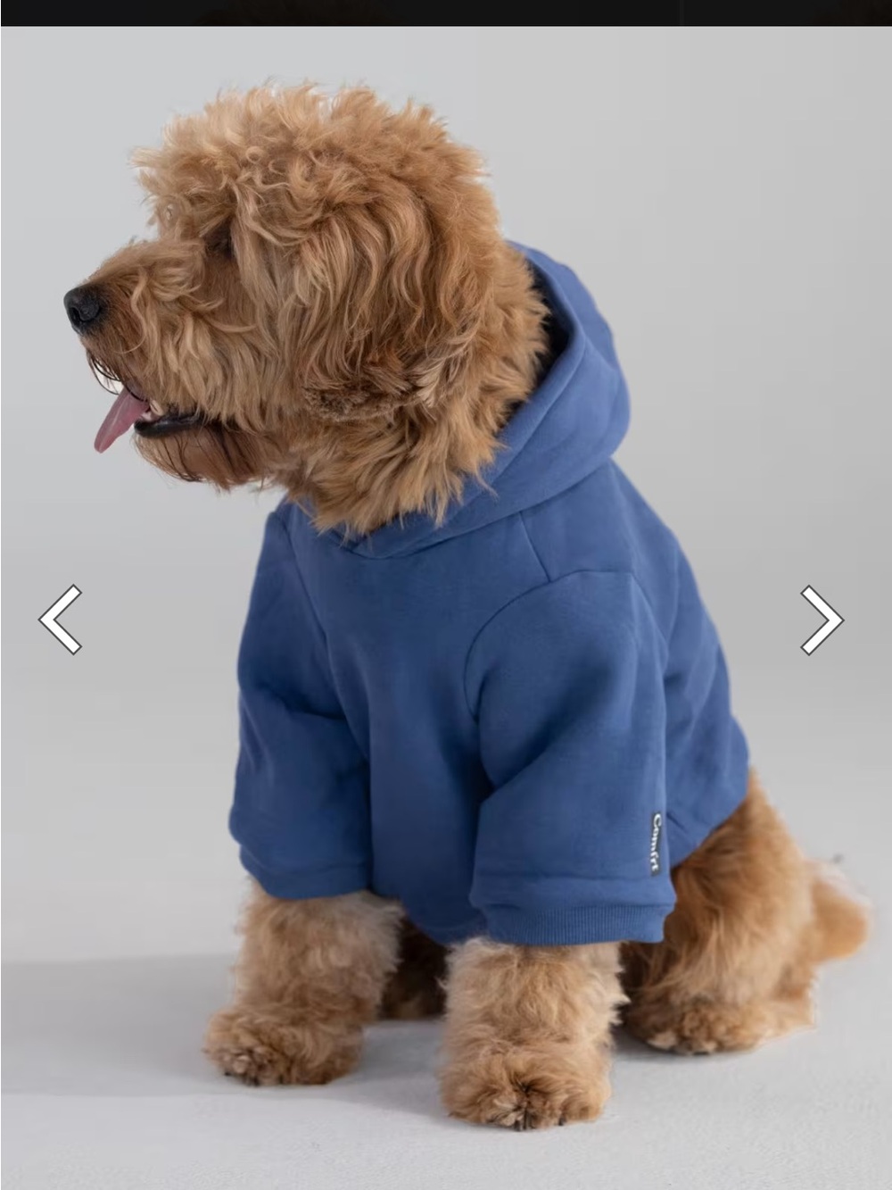 Blue Dog Hoodie Sweatshirt - Comfortable Pullover for Pets - Comfrt Size Large - Picture 2 of 11